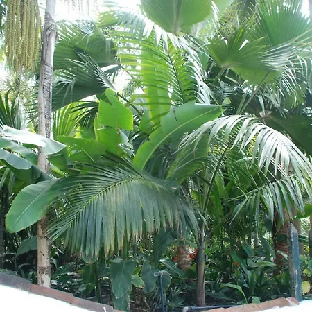 Holiday home Palmeras *