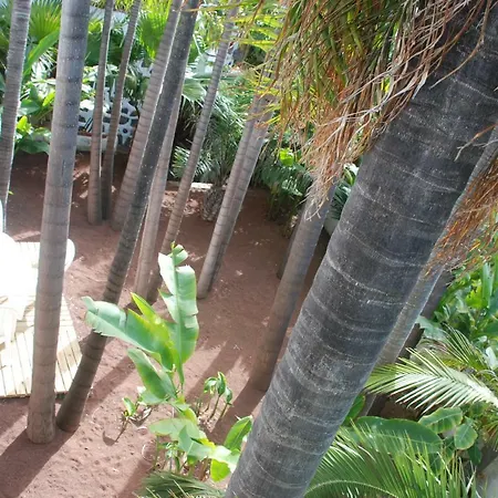 Tatil Evi Palmeras Santa Úrsula