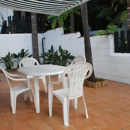 Palmeras Santa Úrsula