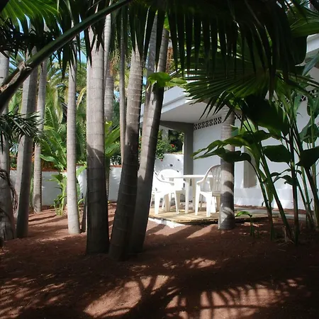 Palmeras * Santa Úrsula