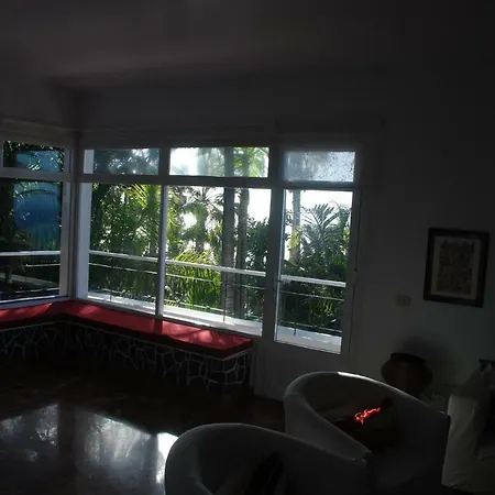 Palmeras Santa Úrsula