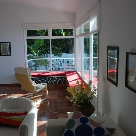 Palmeras Santa Úrsula