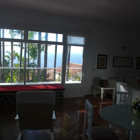 Palmeras Santa Úrsula
