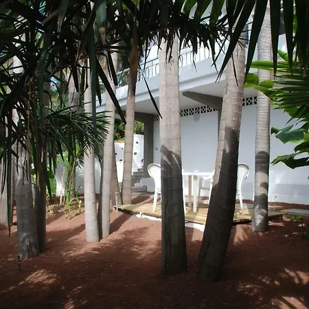 Palmeras Santa Úrsula