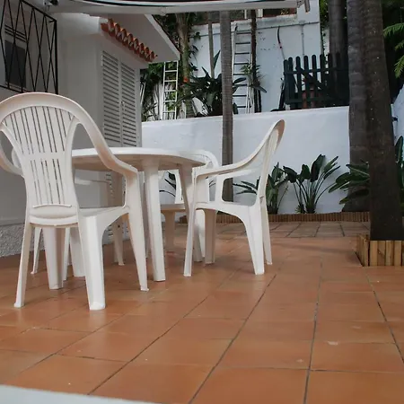 Palmeras