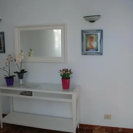 Palmeras *