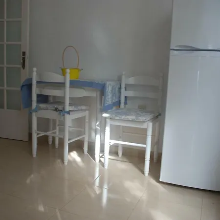 Palmeras Santa Úrsula