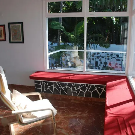 Palmeras * Santa Úrsula