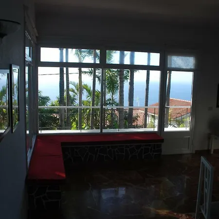 Palmeras Santa Úrsula