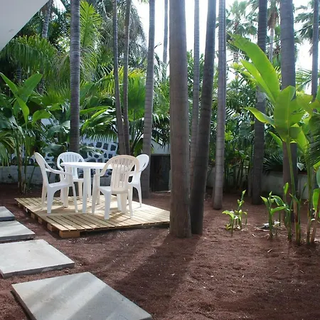 Palmeras *