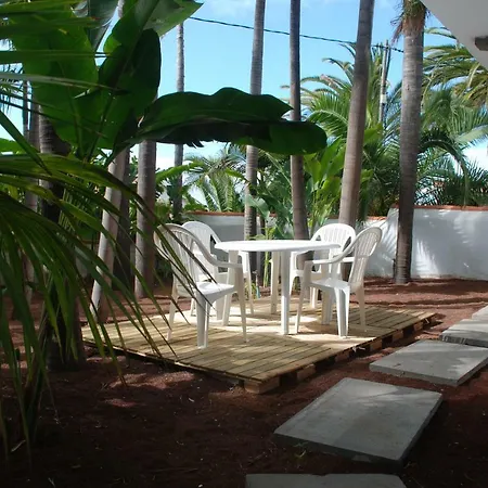 Palmeras Tatil Evi Santa Úrsula